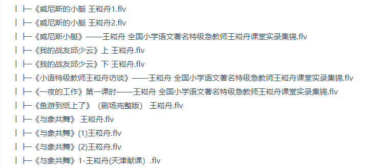威尼斯的小艇王崧舟课堂实录 知宝课 名师课堂 语文名师王崧舟112节优质课现场精品视频课程合集百度网盘下载